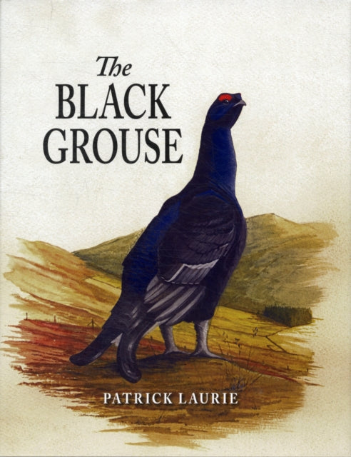 Book cover of: Black Grouse. By: Patrick Laurie