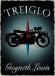 Book cover of: Treiglo. By: Gwyneth Lewis