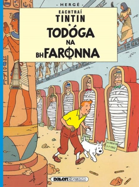 Book cover of: Tintin: Todoga Na Bhfaronna (Irish). By: Hergé