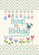 Book cover of: Bump to Birthday, Pregnancy & First Year Journal