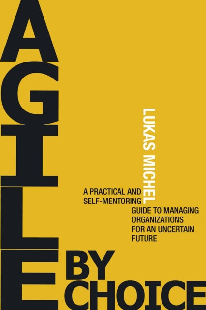 Book cover of: Performance Triangle. By: Lukas Michel