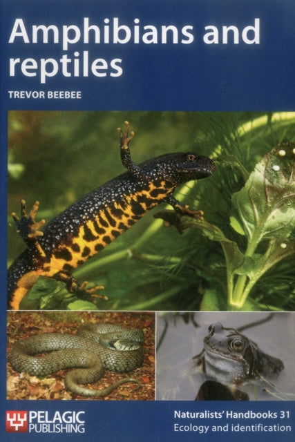 Book cover of: Amphibians and reptiles. By: Trevor Beebee