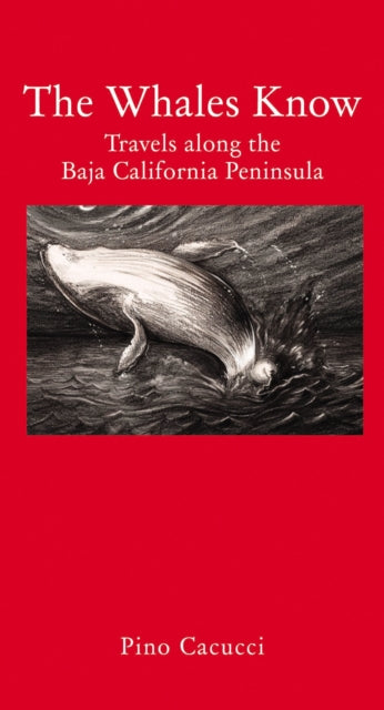 Book cover of: Whales Know