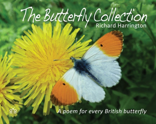 Book cover of: Butterfly Collection. By: Harrington, Richard