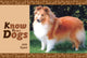 Book cover of: Know Your Dogs. By: Jack Byard