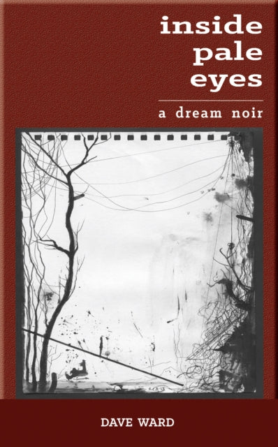 Book cover of: Inside Pale Eyes