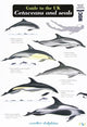 Book cover of: Guide to the UK Cetaceans and Seals