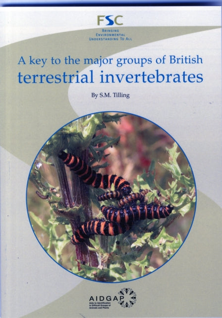 Book cover of: Key to the Major Groups of Terrestrial Invertebrates. By: Stephen Tilling