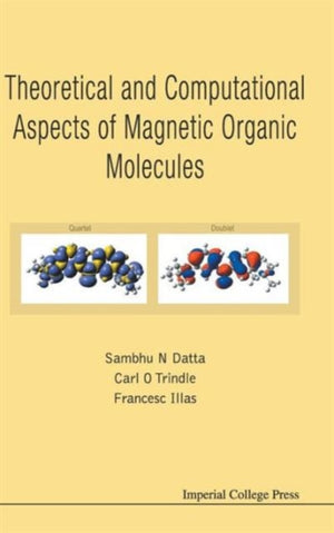 Theoretical And Computational Aspects Of Magnetic Organic Molecules