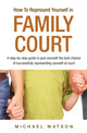 Book cover of: How To Represent Yourself in Family Court