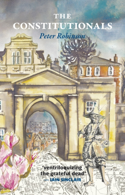 Book cover of: Constitutionals. By: ROBINSON