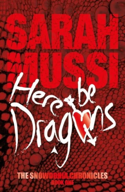 Book cover of: Here be Dragons. By: Sarah Mussi