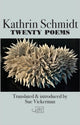Book cover of: Twenty Poems. By: SCHMIDT