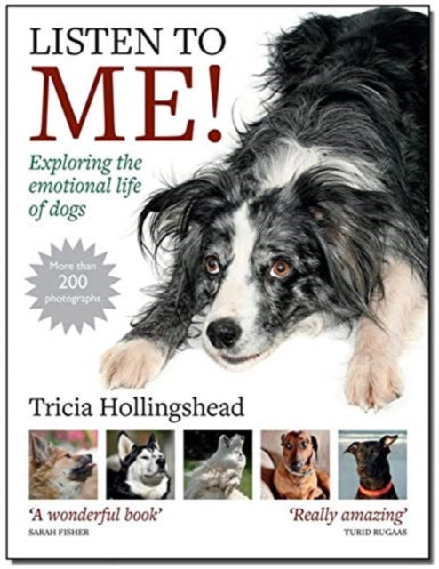 Book cover of: Listen To Me!
