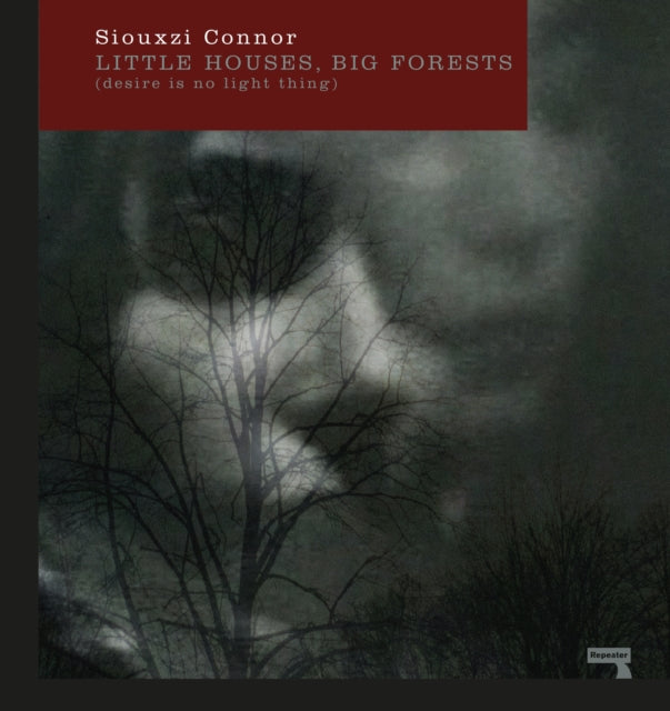 Book cover of: Little Houses, Big Forests. By: Siouxzi Mernagh