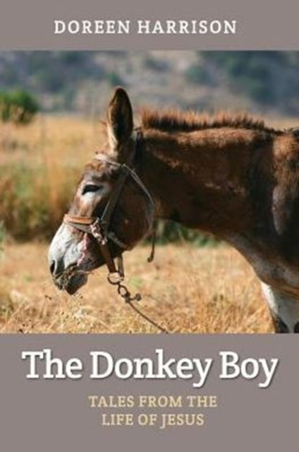Book cover of: Donkey Boy