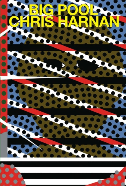 Book cover of: Big Pool