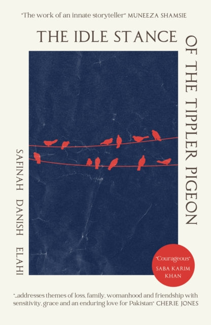 Idle Stance of the Tippler Pigeon 9781911107705 Safinah Danish Elahi
