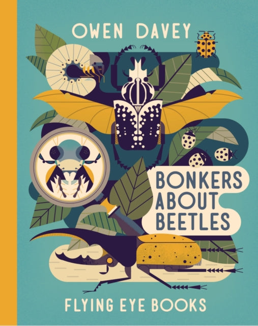 Book cover of: Bonkers About Beetles. By: Owen Davey