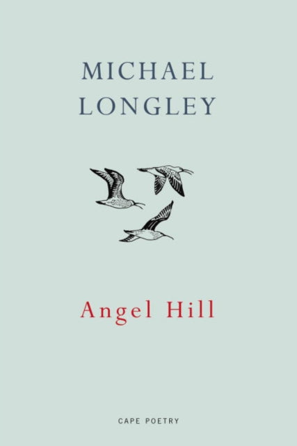 Book cover of: Angel Hill. By: Michael Longley