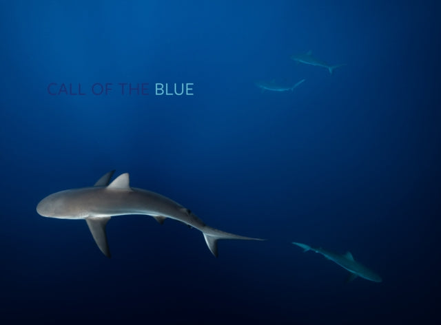 Book cover of: Call of the Blue. By: Philip Hamilton