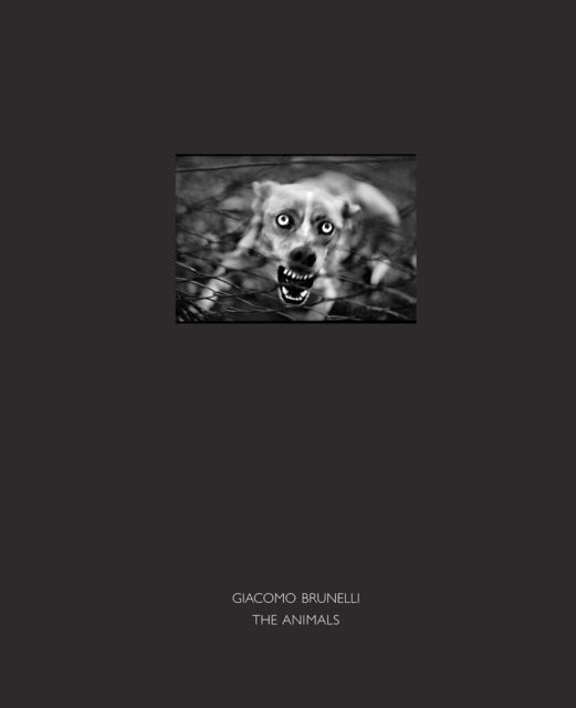 Book cover of: Animals. By: Alison Nordstrom