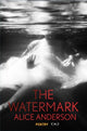 Watermark