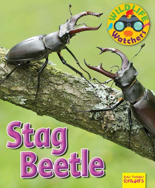 Book cover of: Wildlife Watchers: Stag Beetle. By: Ruth Owen