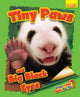Book cover of: Whose Little Baby Are You? Tiny Paws and Big Black Eyes