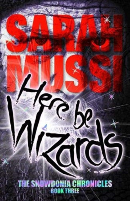 Book cover of: Here be Wizards. By: Sarah Mussi