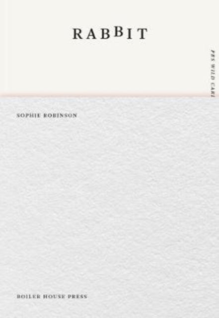 Book cover of: Rabbit. By: ROBINSON