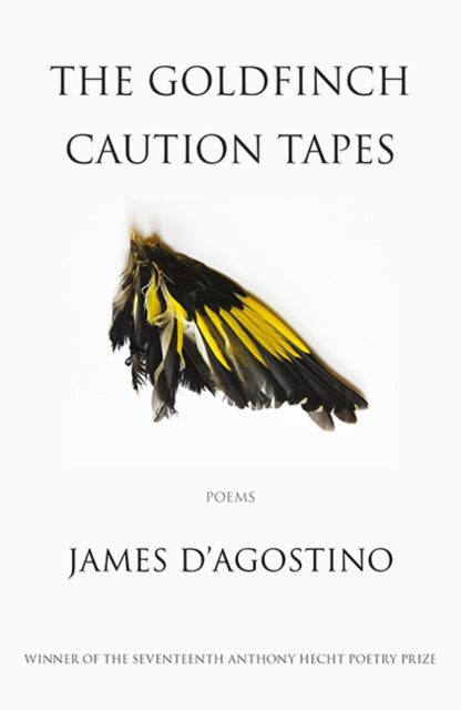 Book cover of: Goldfinch Caution Tapes. By: James D'Agostino