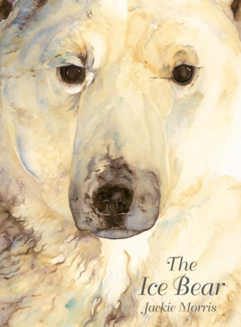 Book cover of: Ice Bear, The. By: Jackie Morris
