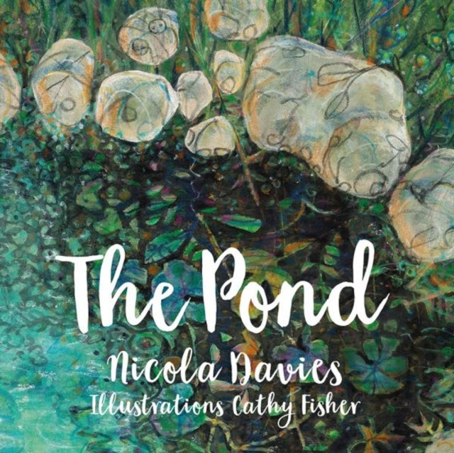 Book cover of: Pond. By: Nicola Davies