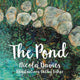 Book cover of: Pond. By: Nicola Davies