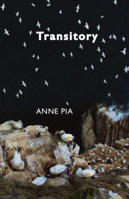 Book cover of: Transitory. By: Anne Pia