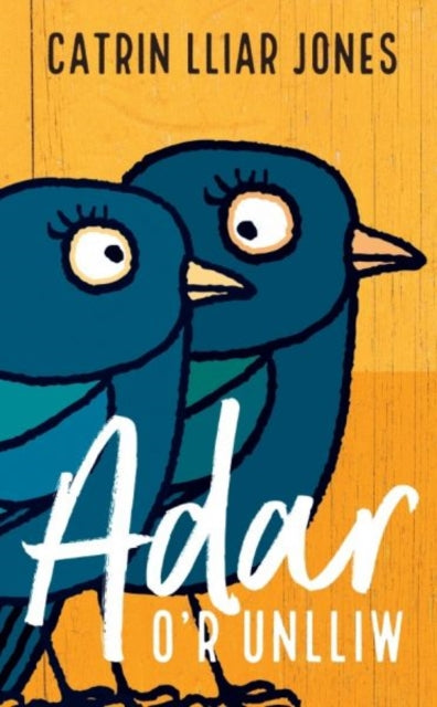 Book cover of: Adar o'r Unlliw. By: Catrin Lliar Jones