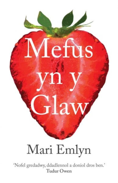 Book cover of: Mefus yn y Glaw. By: Mari Emlyn