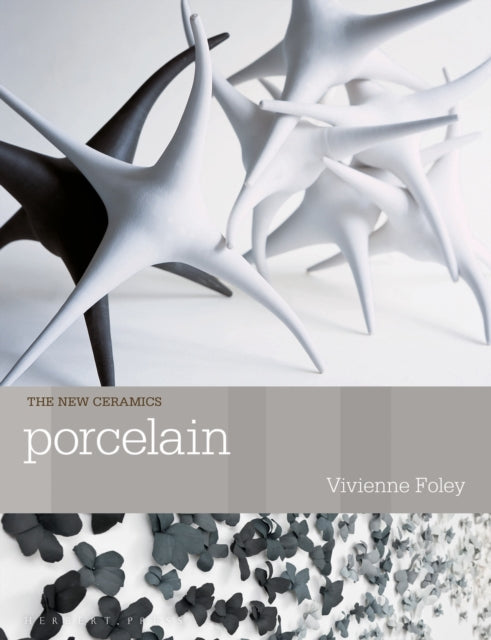 Book cover of: Porcelain. By: Vivienne Foley