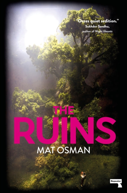 Book cover of: Ruins. By: Mat Osman