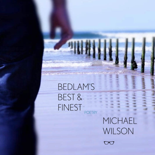 Book cover of: Bedlam's Best and Finest. By: Michael Wilson