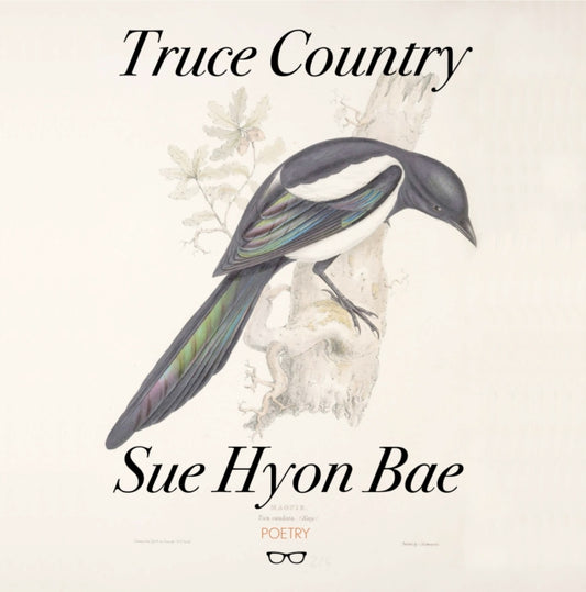 Book cover of: Truce Country. By: Sue Hyon Bae