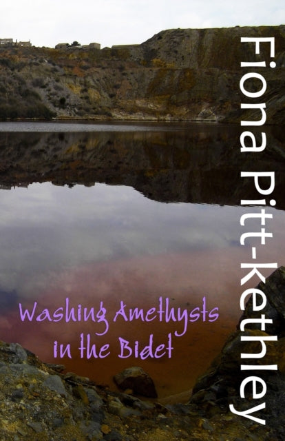 Book cover of: Washing Amethysts in the Bidet. By: Fiona Pitt-Kethley