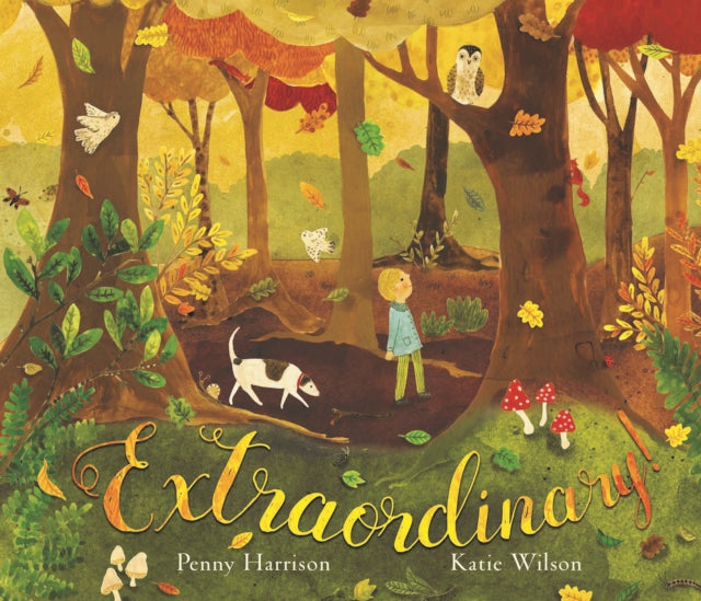 Book cover of: Extraordinary!. By: Penny Harrison