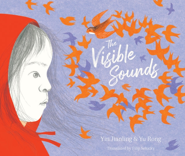 Book cover of: Visible Sounds. By: Yu Rong