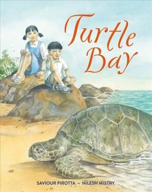 Book cover of: Turtle Bay. By: Nilesh Mistry