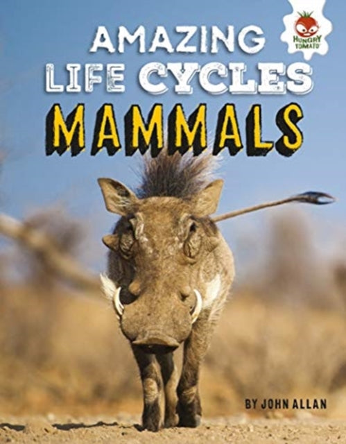 Book cover of: Amazing Life Cycles- Mammals