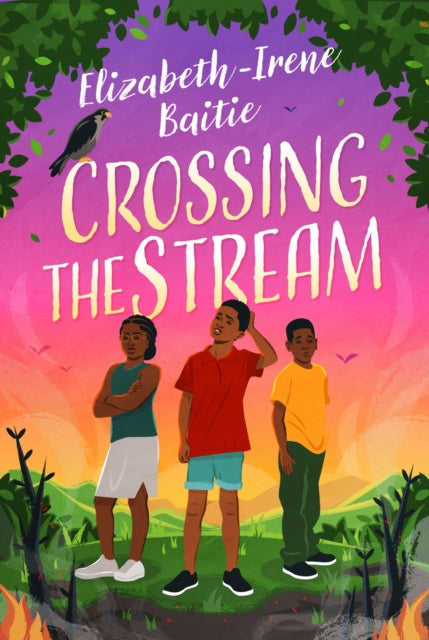 Book cover of: Crossing the Stream. By: BAITIE