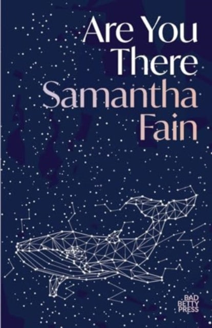 Book cover of: Are You There. By: Samantha Fain