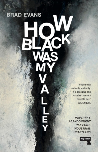 Book cover of: How Black Was My Valley. By: Brad Evans